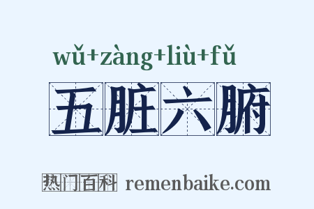 五脏六腑是什么意思的图片